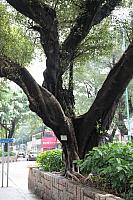 IMG 0985