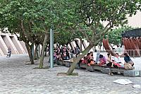 IMG 0994